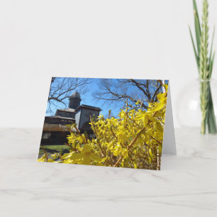 Tabernacle och Forsythia - Martha's Vineyard Kort