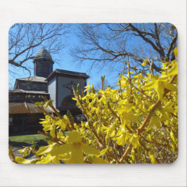 Tabernacle och Forsythia - Martha's Vineyard Musmatta