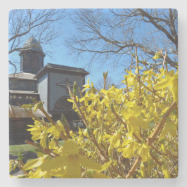 Tabernacle och Forsythia - Martha's Vineyard Stenunderlägg