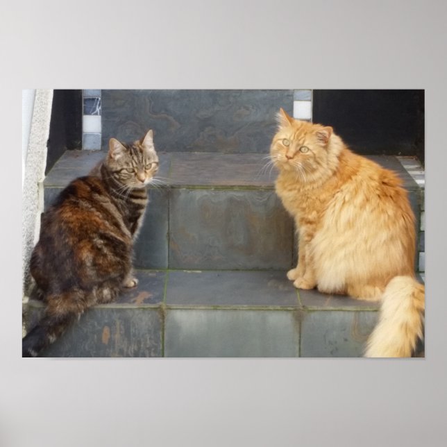 Tabitha Twitchit & Mungojerrie Poster (Framsidan)
