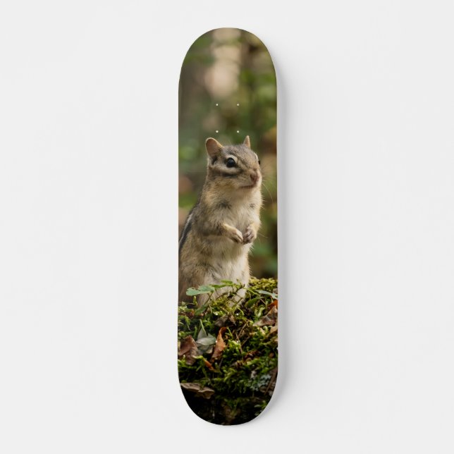 Tabla de Skate Ardilla Silvestre Alerta Mini Skateboard Bräda 18,5 Cm (Framsida)