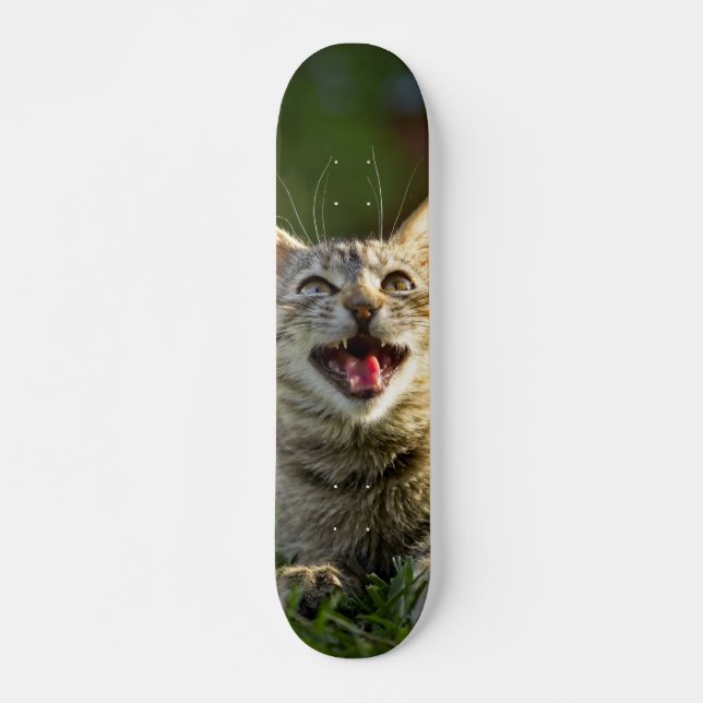 Tabla de Skate Gato Aullando en la Grama Mini Skateboard Bräda 18,5 Cm (Framsida)