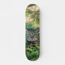 Tabla de Skate Gato Gris Atigrado en un Prado Mini Skateboard Bräda 18,5 Cm