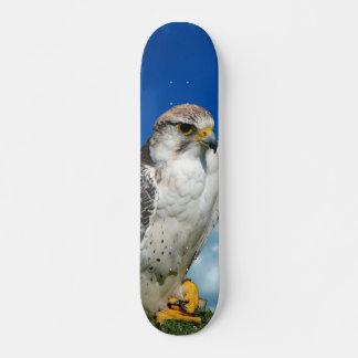 Tabla de Skate Halcón Salvaje Sentado Mini Skateboard Bräda 18,5 Cm