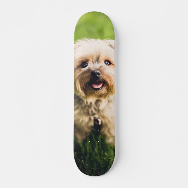 Tabla de Skate Perrito Terrier Adorable Mini Skateboard Bräda 18,5 Cm (Framsida)