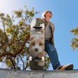 Tabla de Skate Perro Peludo Colores Crema y Blanco Mini Skateboard Bräda 18,5 Cm