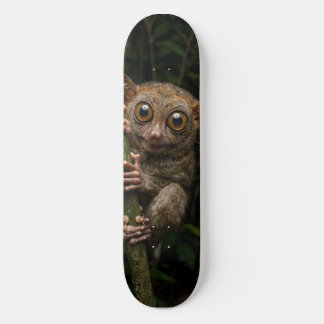 Tabla de Skate Tarsero Pequeño Primate en el Árbol Mini Skateboard Bräda 18,5 Cm
