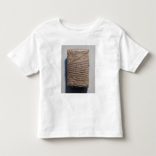 Tablet med fjortonlinjer av en matematisk text t-shirt (Framsida)