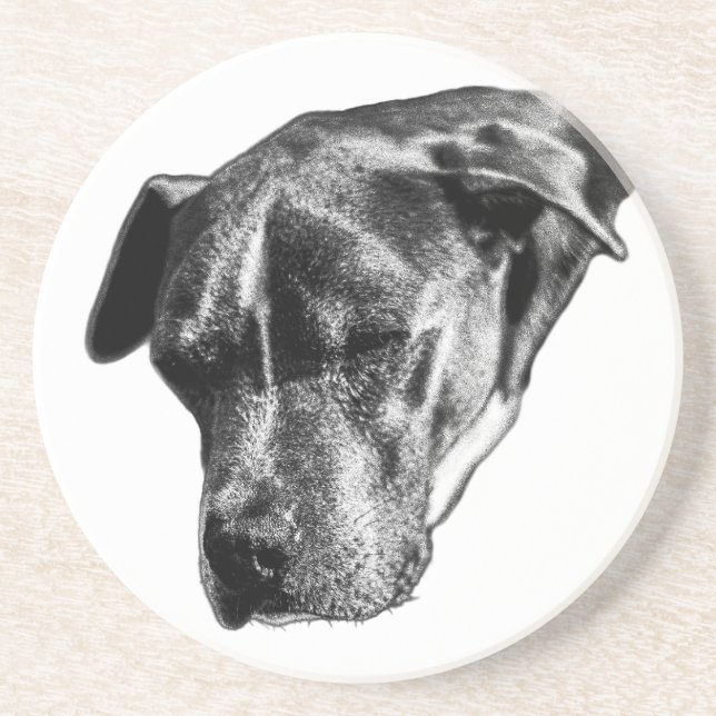Tabletop Tranquil—Pitbull Mix Mini Underlägg (Framsidan)