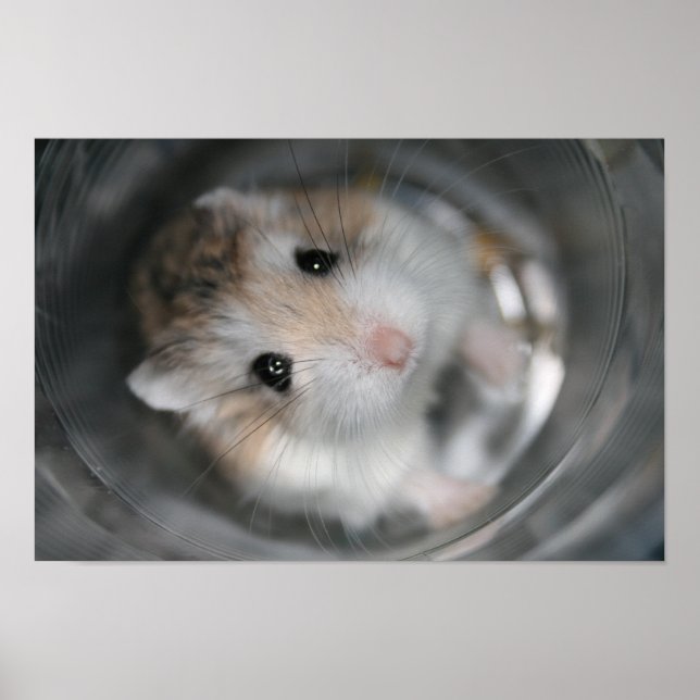 Tac-status - Poster (Framsidan)