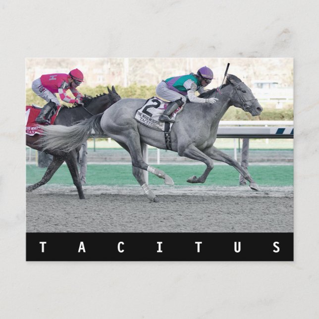 Tacitus vinner Wood Memorial Stakes Vykort (Framsida)