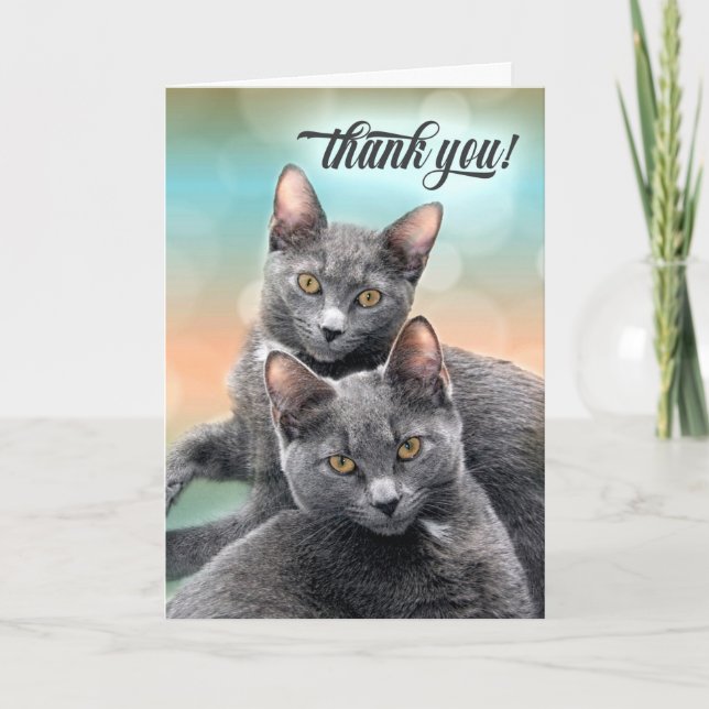 Tack 2 Grått Cats Kort (Framsida)