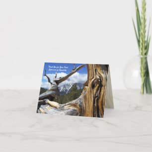 Tack 4 Sympathy Mountain Thru Träd Note Card Kort