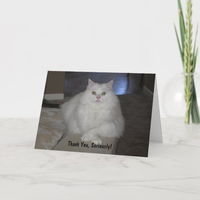 Tack allvarligt! (Framsida)