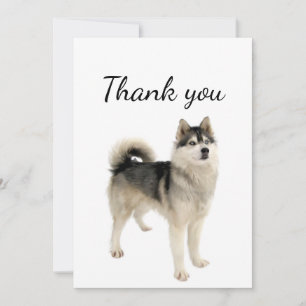 Tack American Eskimo Malamute Hund Pet Animal Kort