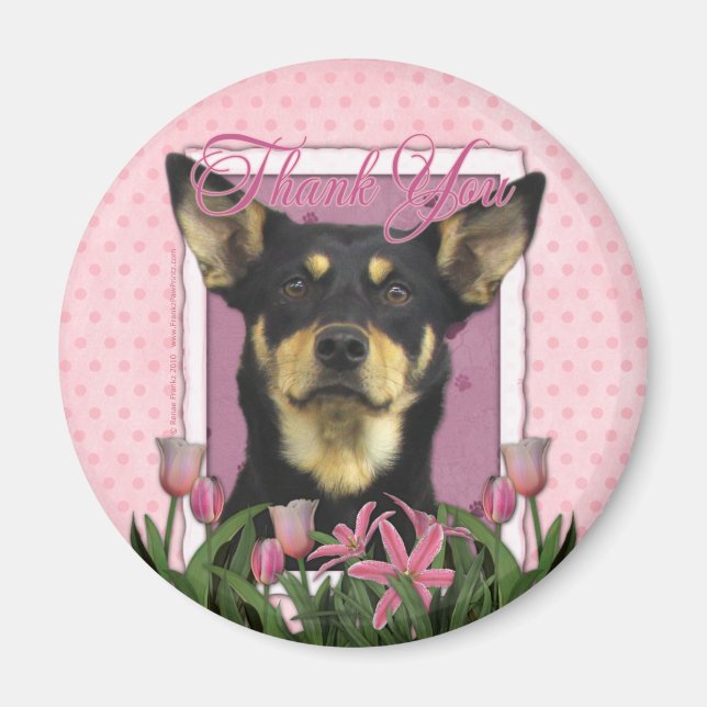 Tack - Australian Kelpie - Jude Magnet (Framsidan)