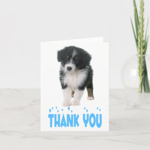 Tack Australian shepherd Puppy Hund Kort