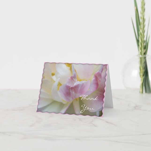 Tack av rosa och vit Tulip Flower Blommar (Framsida)