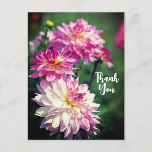 Tack av rosa och vitblomma från Dahlia Helg Vykort
