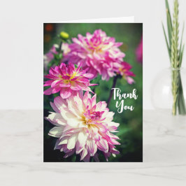 Tack av rosa och vitblomma från Dahlia Kort