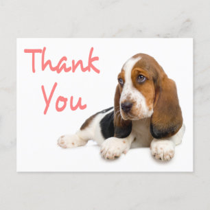 tack Basset Hound Hälsning-vykort Vykort