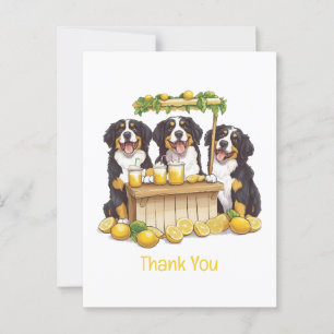 Tack Bernese Mountain Dogs Lemonadstånd Vykort