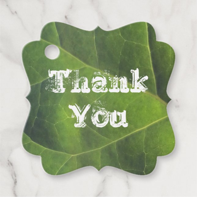 Tack Birght Grönt Löv Photo Apprecition Gåvor Etiketter (Framsida)