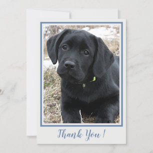 Tack Black Labrador- Blue Grått Cute Puppy Hund Kort