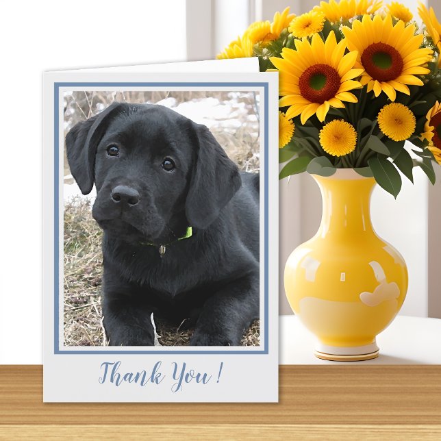 Tack Black Labrador - Cute Puppy Hund (Skapare uppladdad)