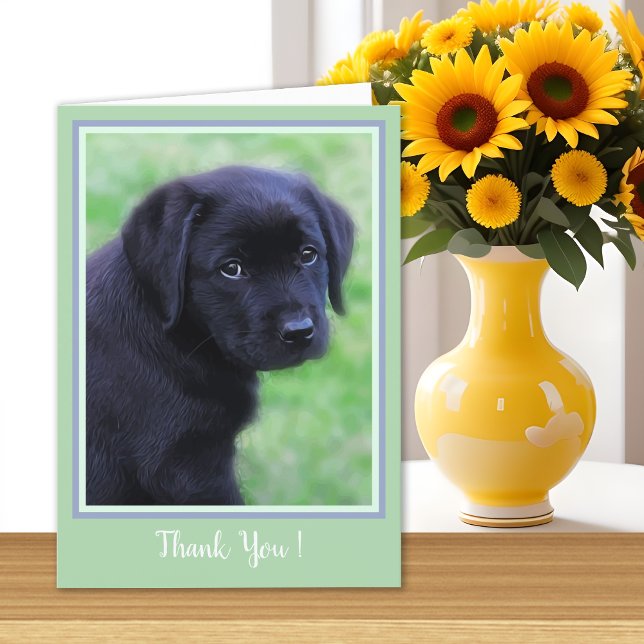 Tack Black Labrador Puppy - Cute Hund (Skapare uppladdad)