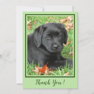 Tack Black Labrador Puppy - Höstkutten Hund Kort