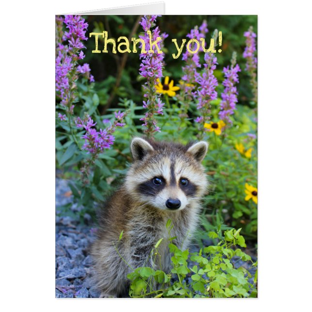 Tack bland blommorna hälsningskort (Framsidan)