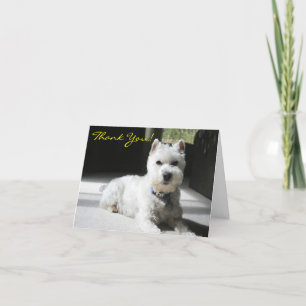 Tack, Blank, Mini Schnauzer Tack Kort