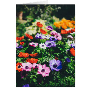 Tack-Blomsterträdgård-hälsningskort Hälsningskort