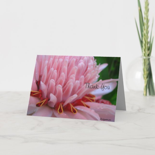 Tack Bloom Me Away Rosa Ginger Kort (Framsida)