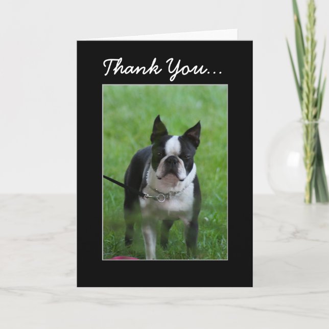 Tack Boston Terrier-hälsningskort Kort (Framsida)