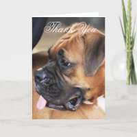 Tack Boxer-hund-hälsningskort