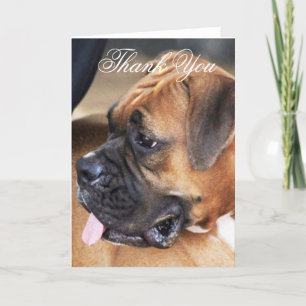 Tack Boxer-hund-hälsningskort Kort