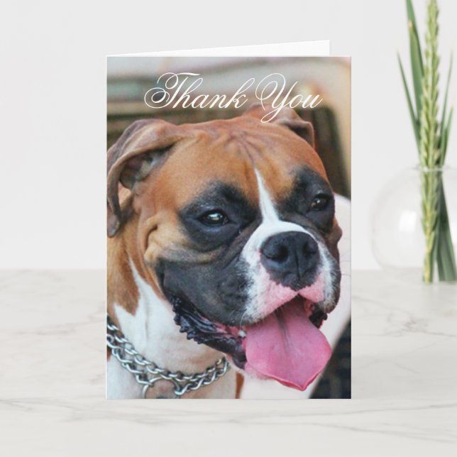 Tack Boxer-hund-hälsningskort Kort (Framsida)