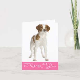 Tack Bretagne Puppy Hund Note Card Kort