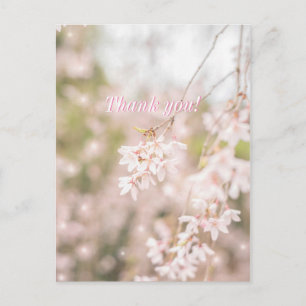 Tack Bright Weeping Cherry Sparkles Vykort