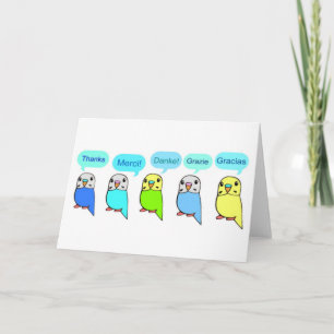 Tack-budgies Tack Kort