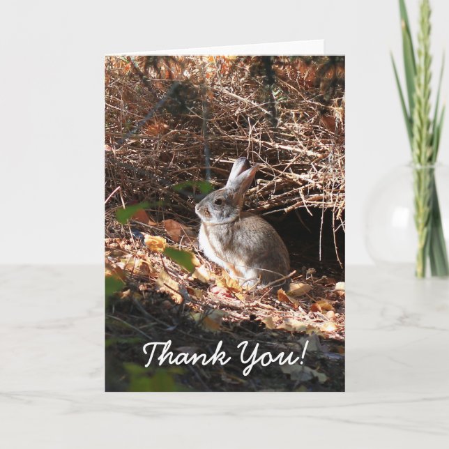 Tack Bunny Rabbit Greeting Card Kort (Framsida)