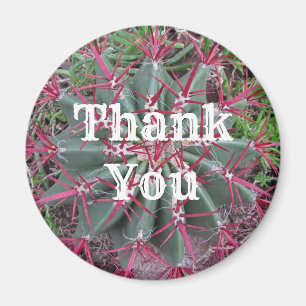 Tack Cactus Photo Desert Plant Avskrivning Magnet