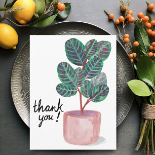 Tack Calathea Prayer Plant Akvarell Vykort
