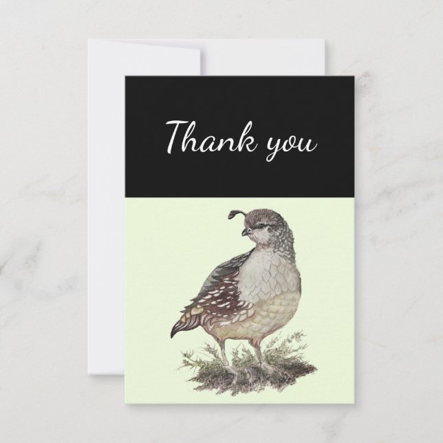 Tack California Quail Bird Nature Art Kort (Framsida)
