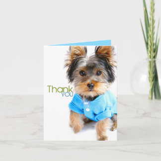 Tack Card_Yorkie Kort