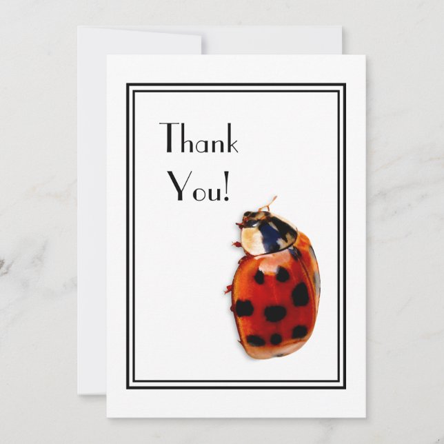 Tack Chic Spoted Ladybug Inbjudningar (Framsida)