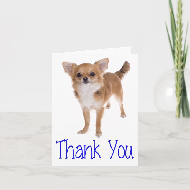 Tack Chihuahua Puppy Hund Blank Notecard (Framsida)