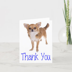 Tack Chihuahua Puppy Hund Blank Notecard